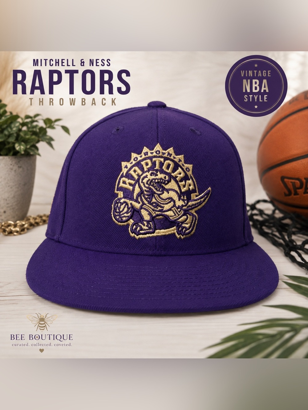 Mitchell & Ness Toronto Raptors Purple Gold Vintage Snapback Hat NBA Retro